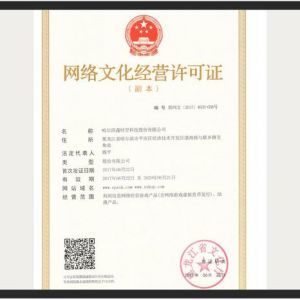 網絡文化經營許可證 定義、申請流程與行業意義